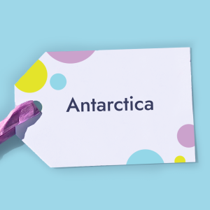 The Antarctica BookBubble Bookcase